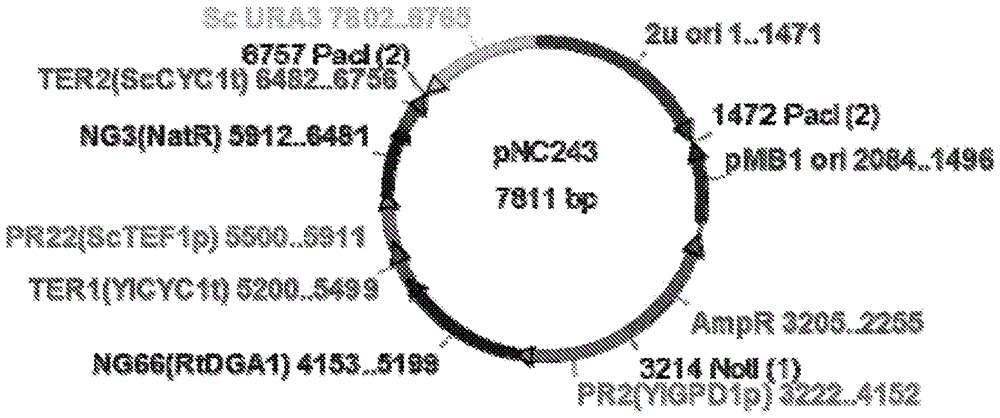 Increasing cellular lipid production by increasingthe activity of diacylglycerol acyltransferase and decreasing the activity of triacylglycerol lipase