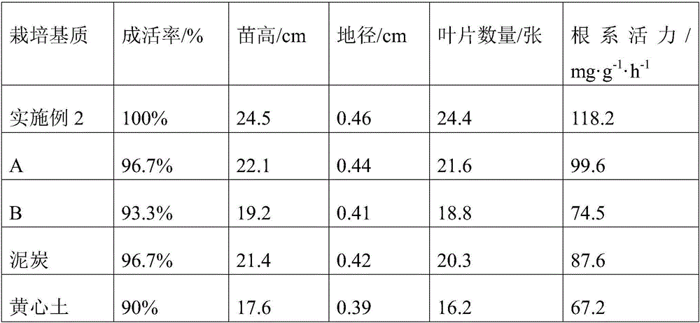 Camellia soilless culture substrate and preparation method thereof