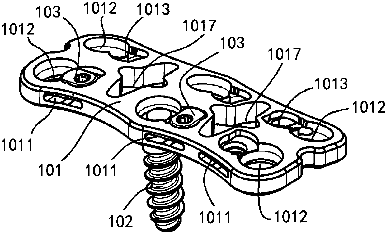 Fixing device in spines