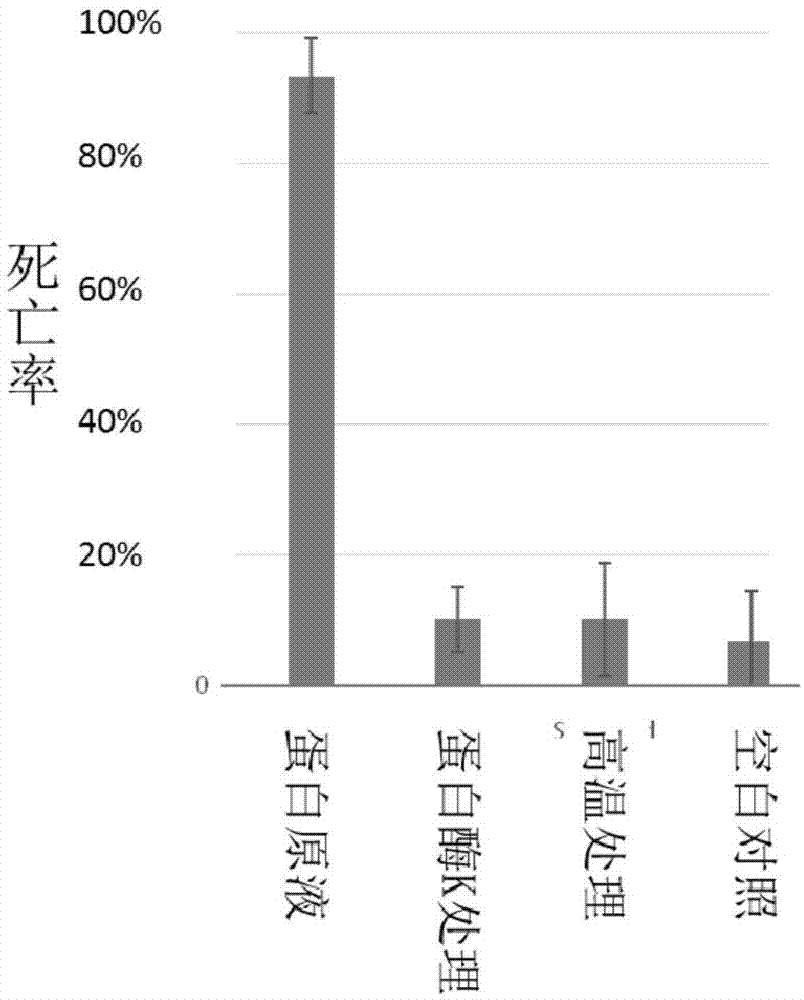 Bacillus thuringiensi strain, combination protein and application of protein