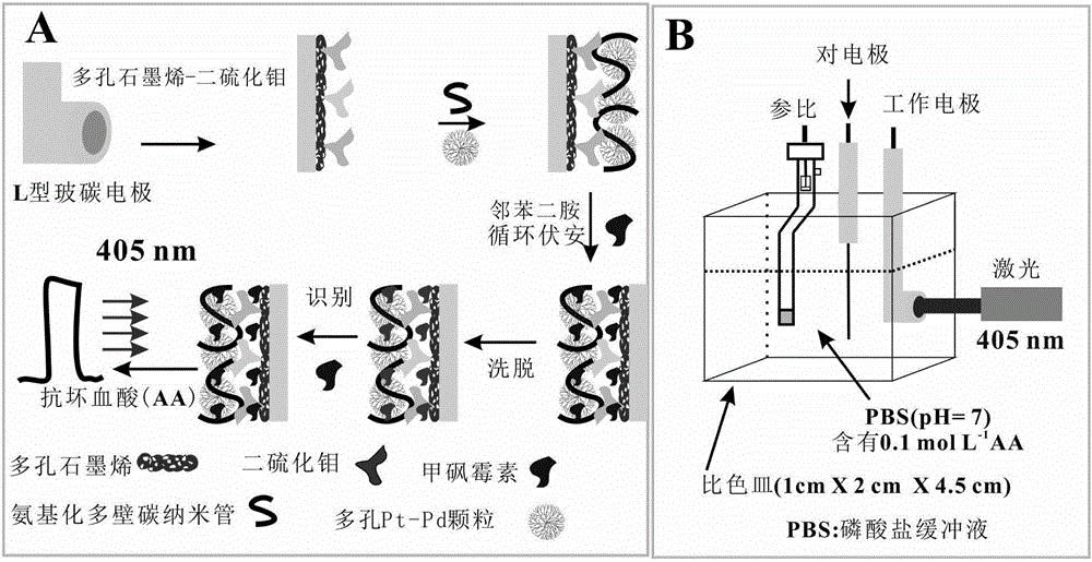 Thiamphenicol molecularly imprinted electrochemical sensor and preparation method and application thereof