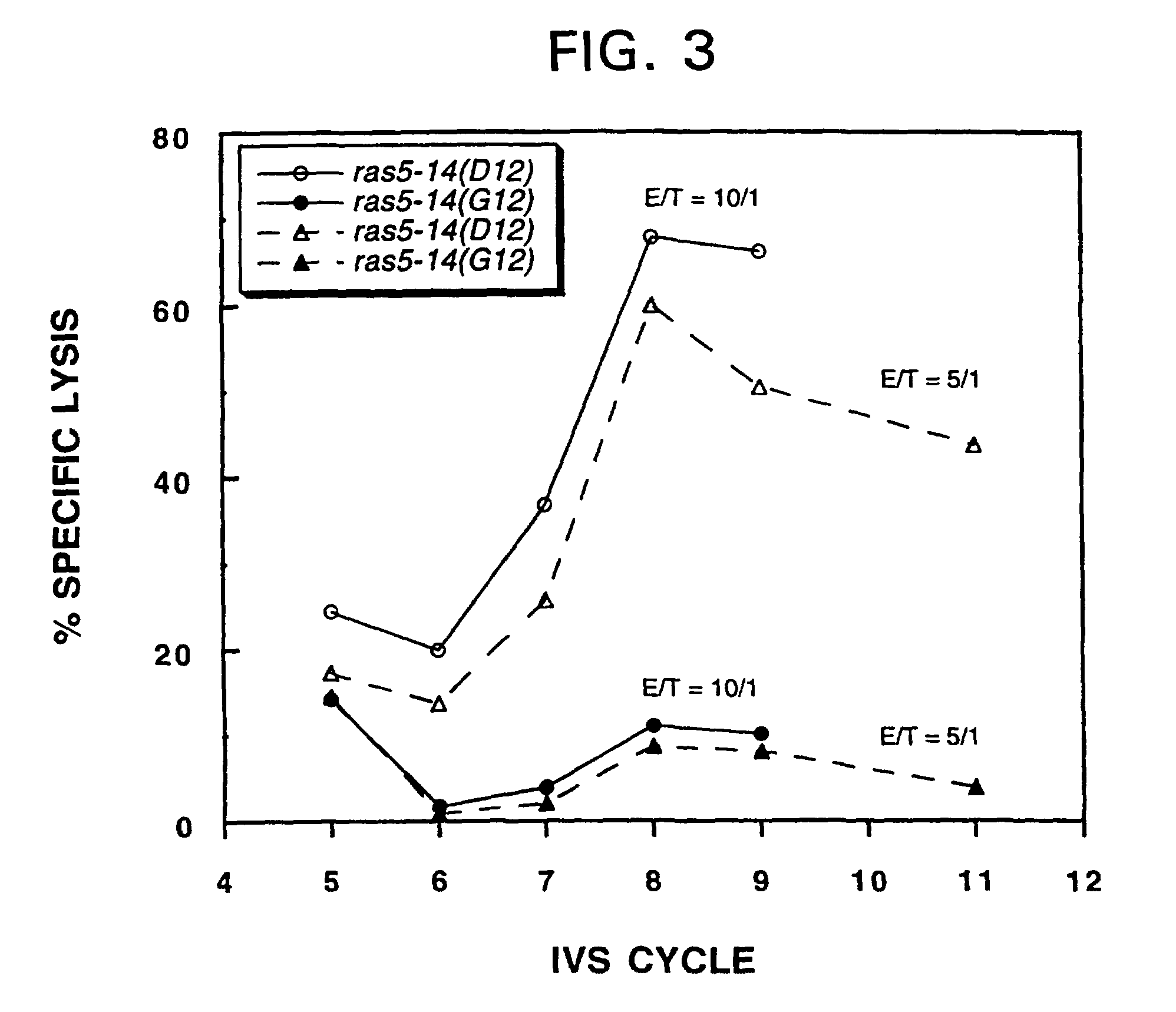 Mutated <i>ras </i>peptides for generation of CD8<sup>+</sup> cytotoxic T lymphocytes