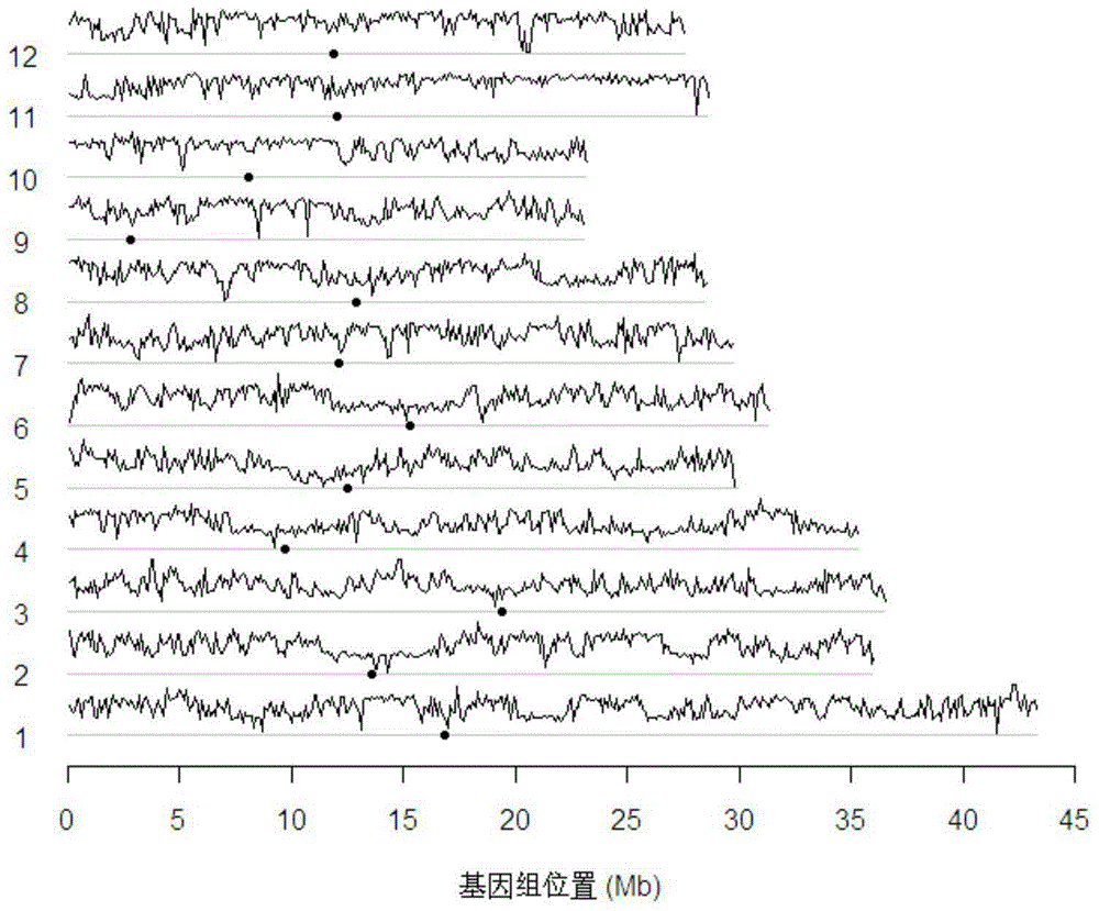 Rice genome-wide breeding chip and its application