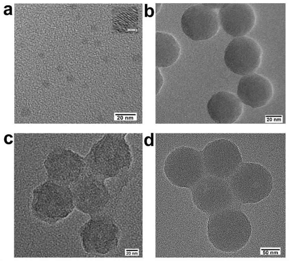 Application of dna carbon dot-silicon nano hydrogel material in the preparation of reagents for fluorescence detection of carcinoembryonic antigen in serum