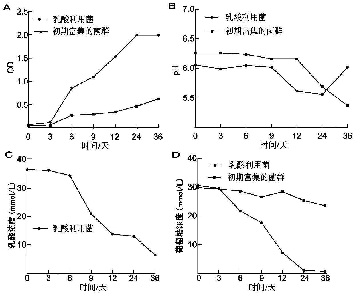 Culture medium for enrichment of lactate-utilizing bacteria