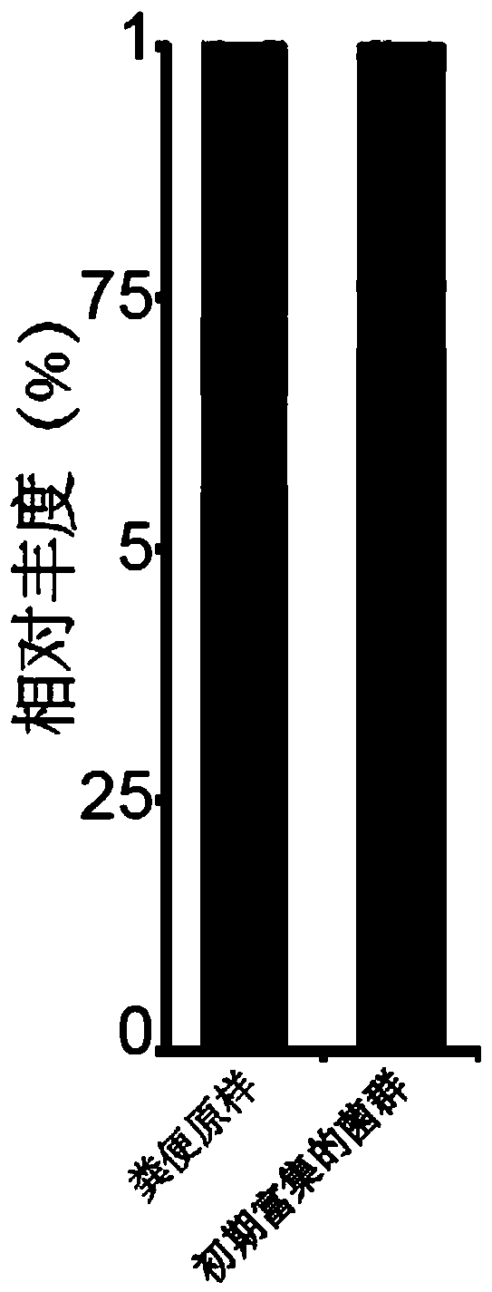 Culture medium for enrichment of lactate-utilizing bacteria