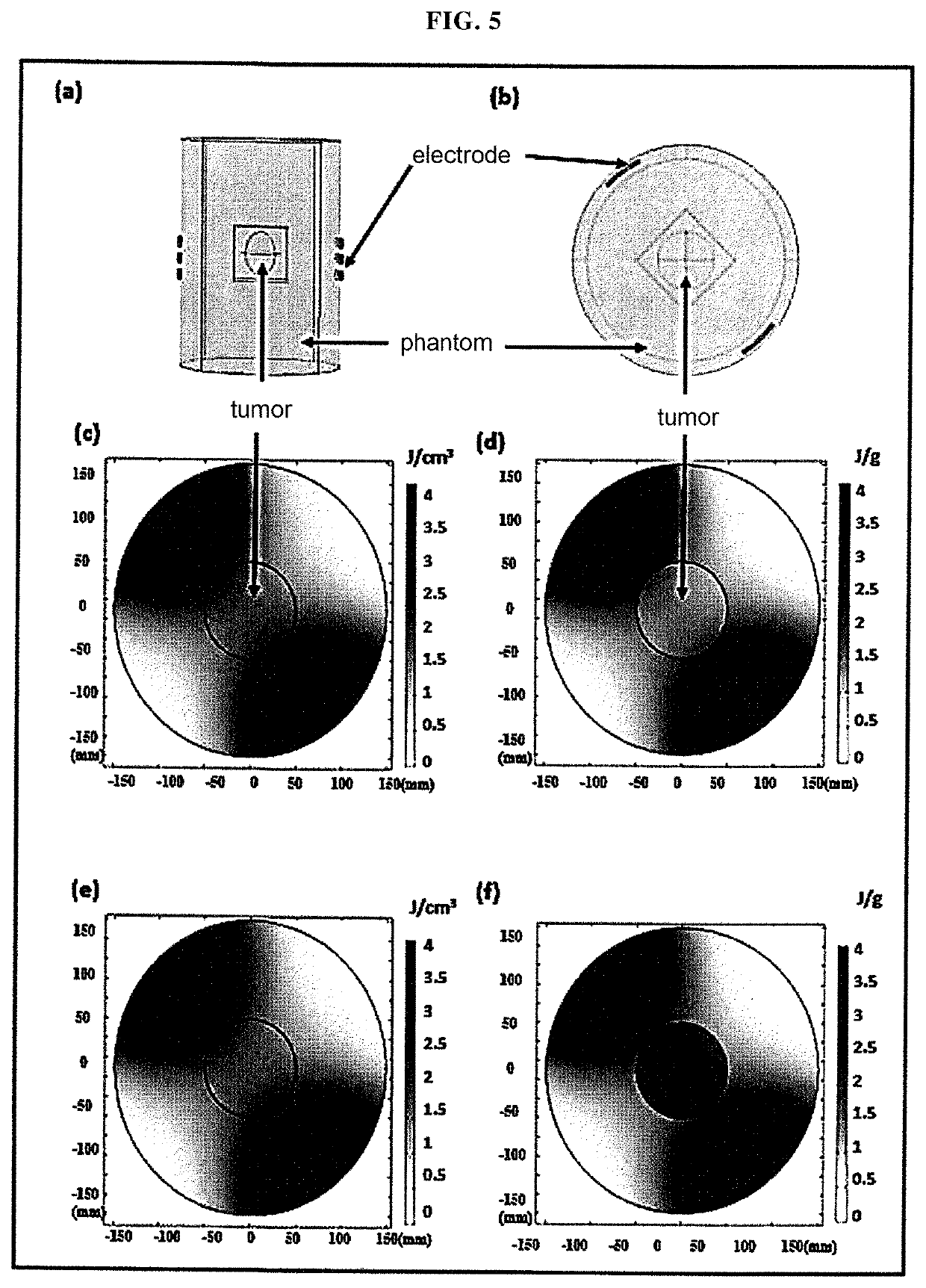 System and method for planning electric field cancer treatment based on absorbed energy