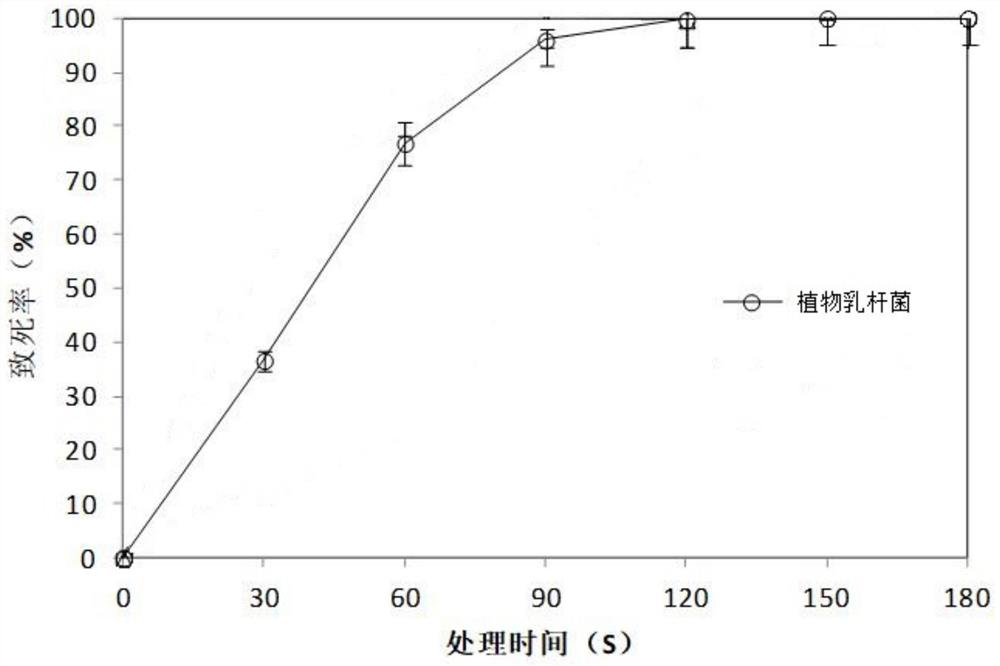 High-concentration tea dreg-tolerant lactobacillus plantarum LP-08 strain and application thereof