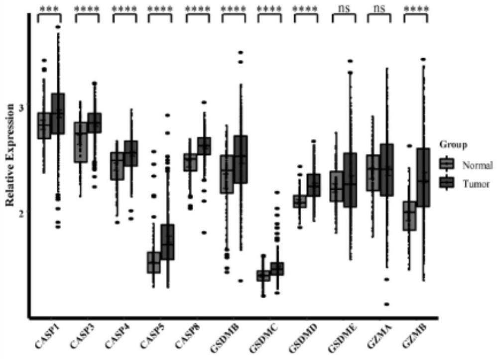 Marker for predicting survival risk, immunotherapy response and pyroptosis inducer applicability of gastric cancer patient and application of marker