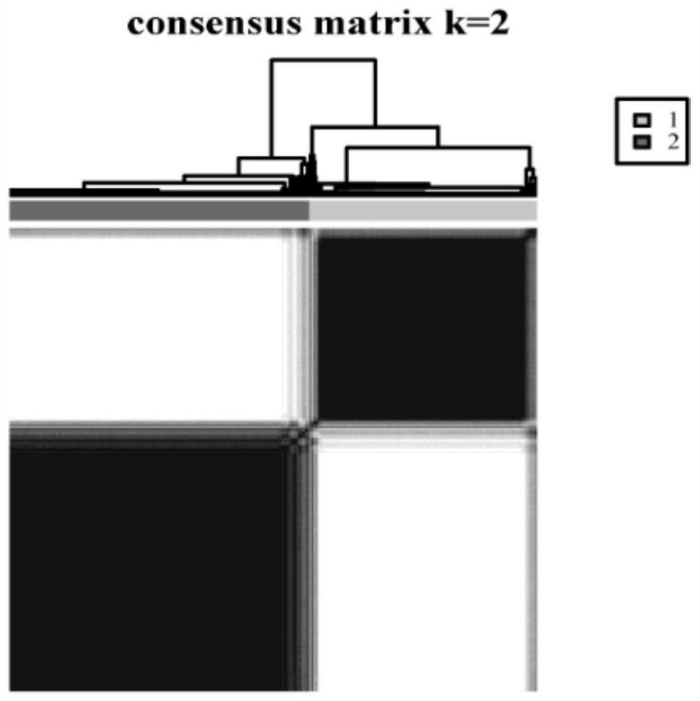 Marker for predicting survival risk, immunotherapy response and pyroptosis inducer applicability of gastric cancer patient and application of marker