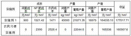 Non-point source pollution prevention and control cultivation method for vineyard