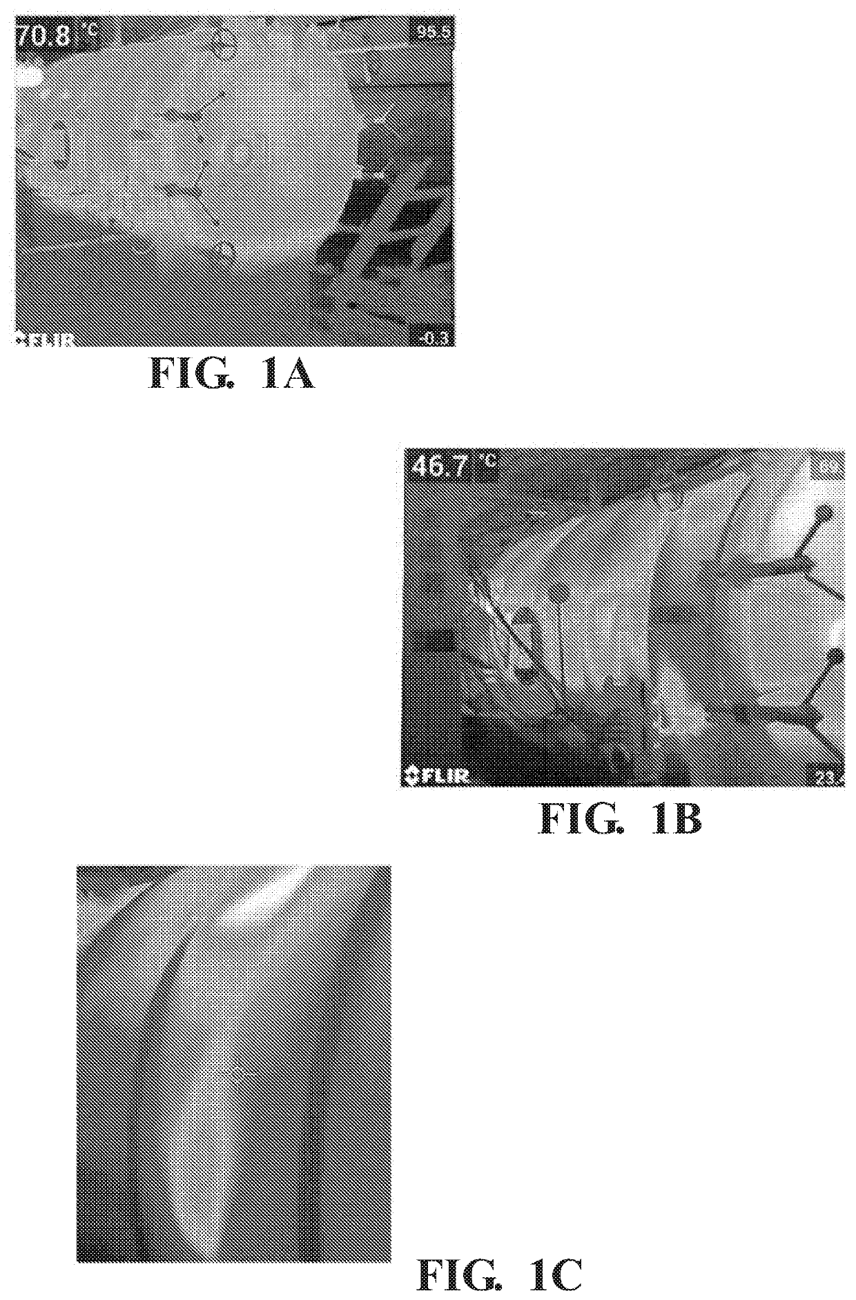 Radio frequency treatment to phytosanitize wood packaging materials used in international shipping