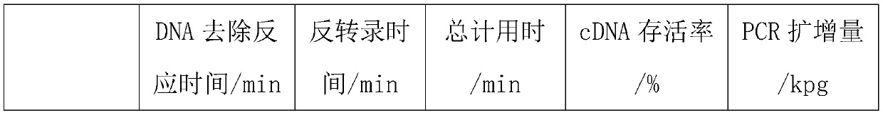 Rochel reverse-transcription reagent and preparation method thereof