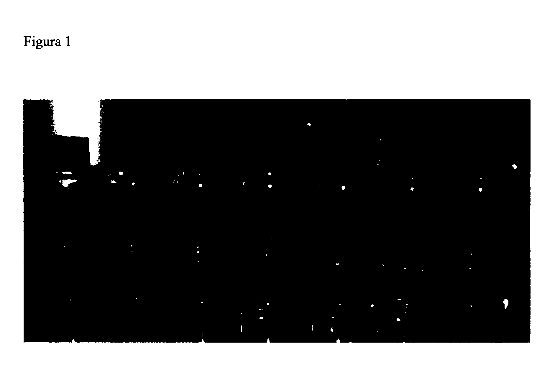 Method for the preparation of nanoparticles in ionic liquids