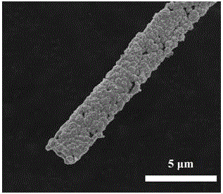 Method for preparing SnO2 micro-nanofiber