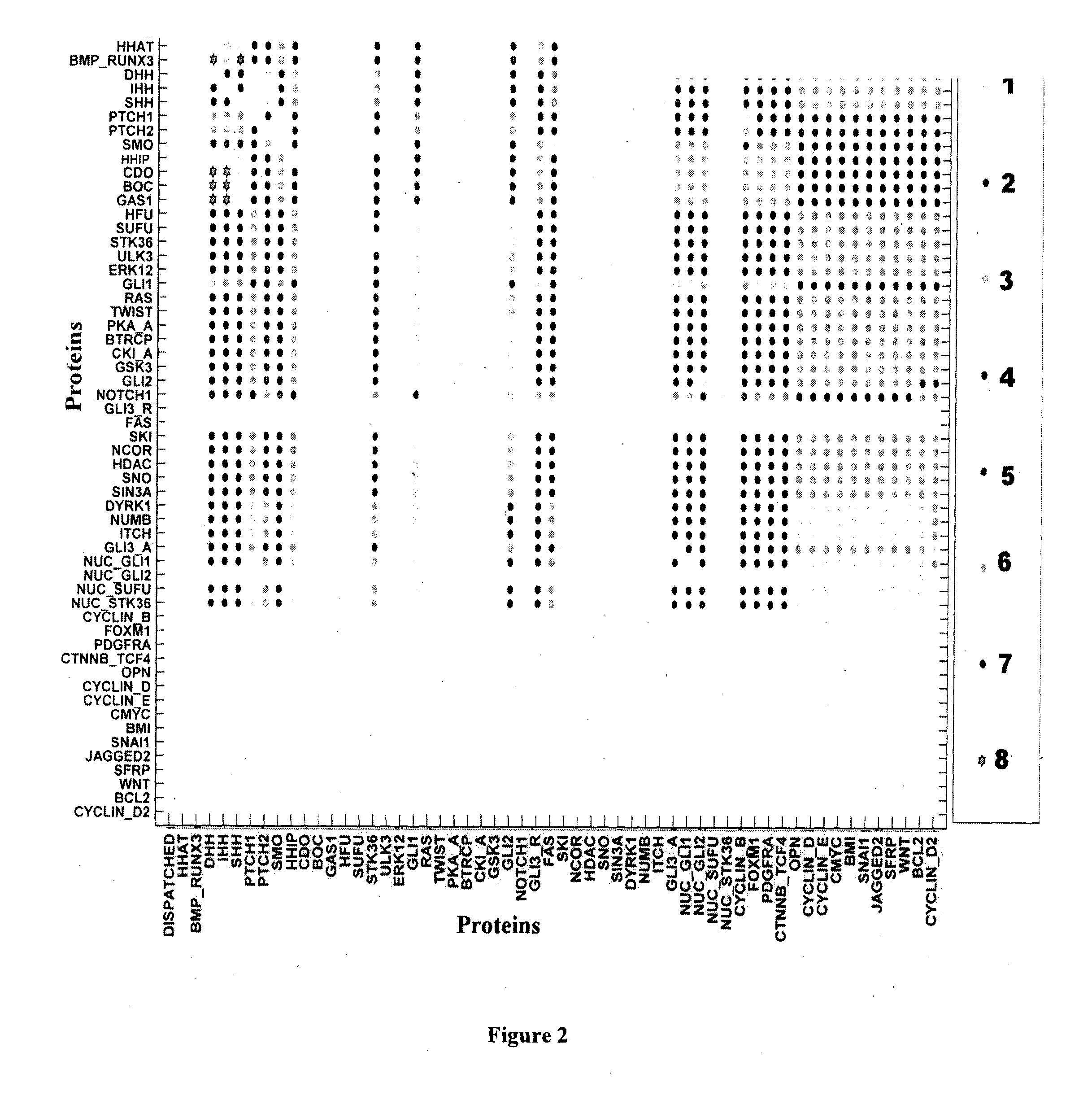 In silico method to identify the important biomarkers and combinatorial oncoproteins in target based cancer therapy