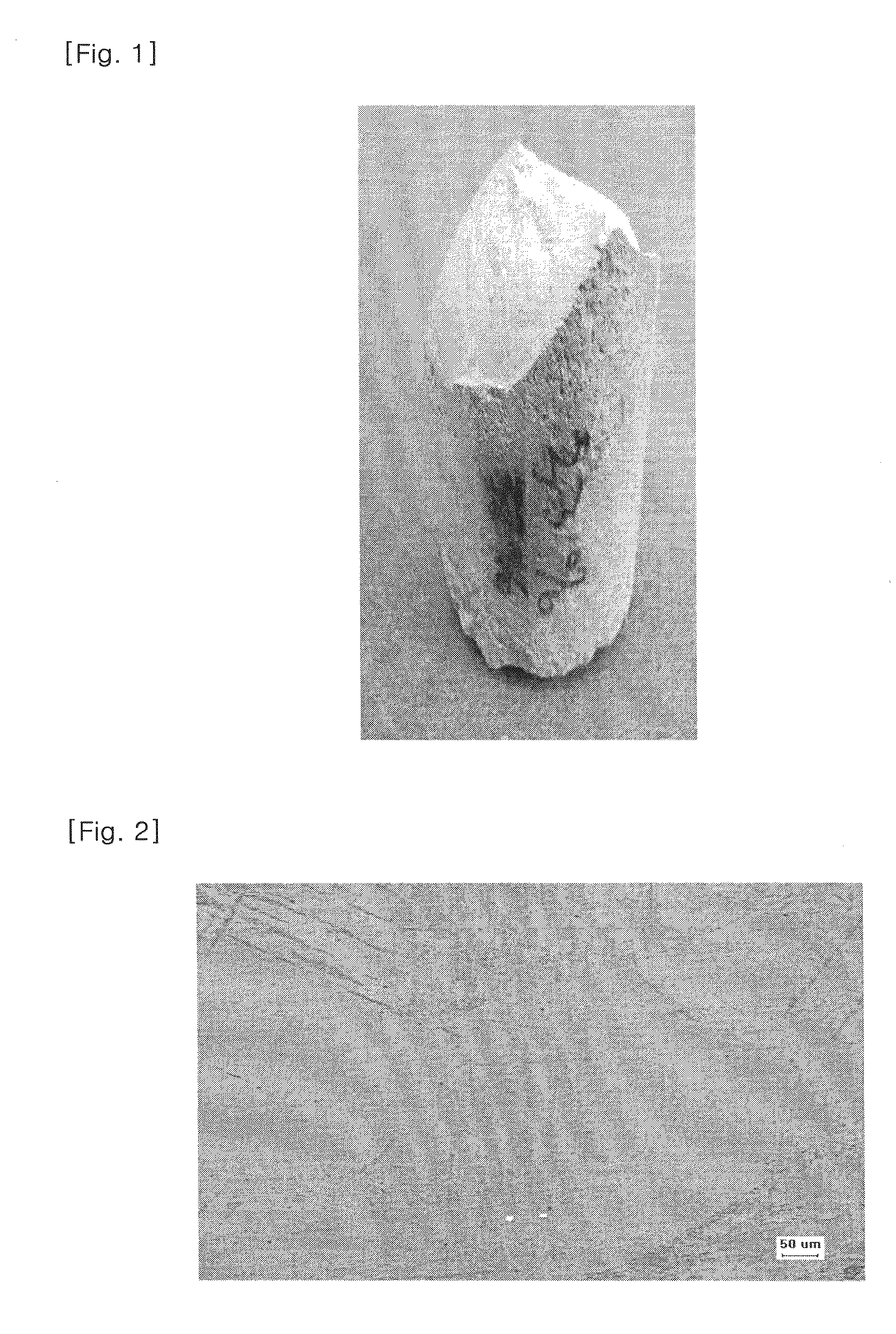 Implants comprising biodegradable metals and method for manufacturing the same