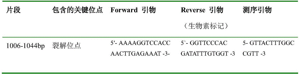 A method for detecting the pathogenicity of influenza A h1n1 virus based on pyrosequencing