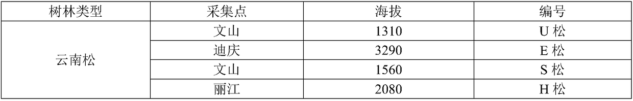 Evaluation method for understory environment applicable to planting of pseudo-ginseng