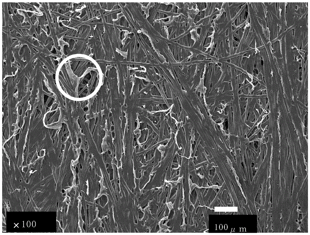 Semipermeable membrane support body and preparing method therefor