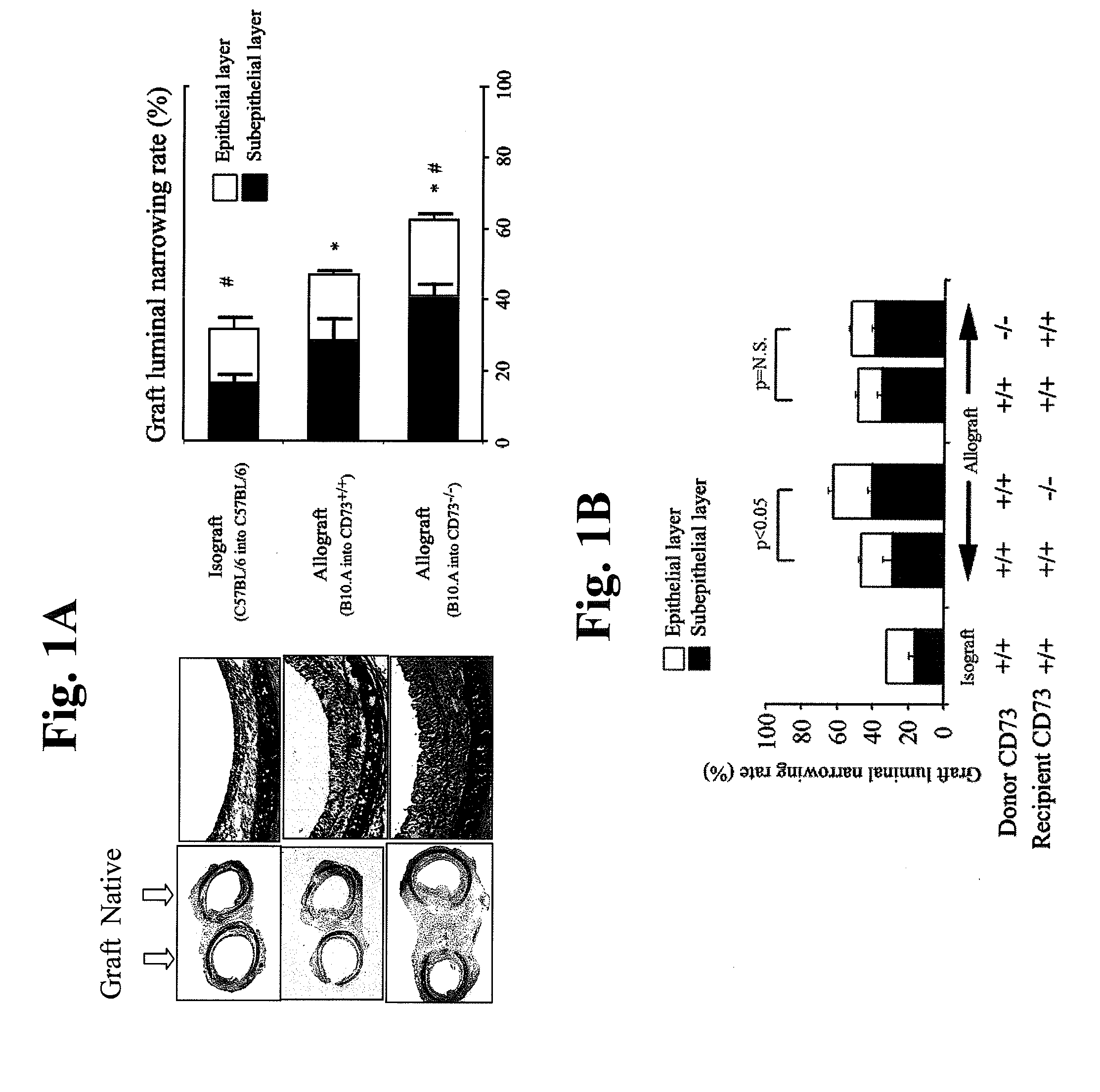 Nucleotide phosphate dissipation as a treatment for vascular disorders