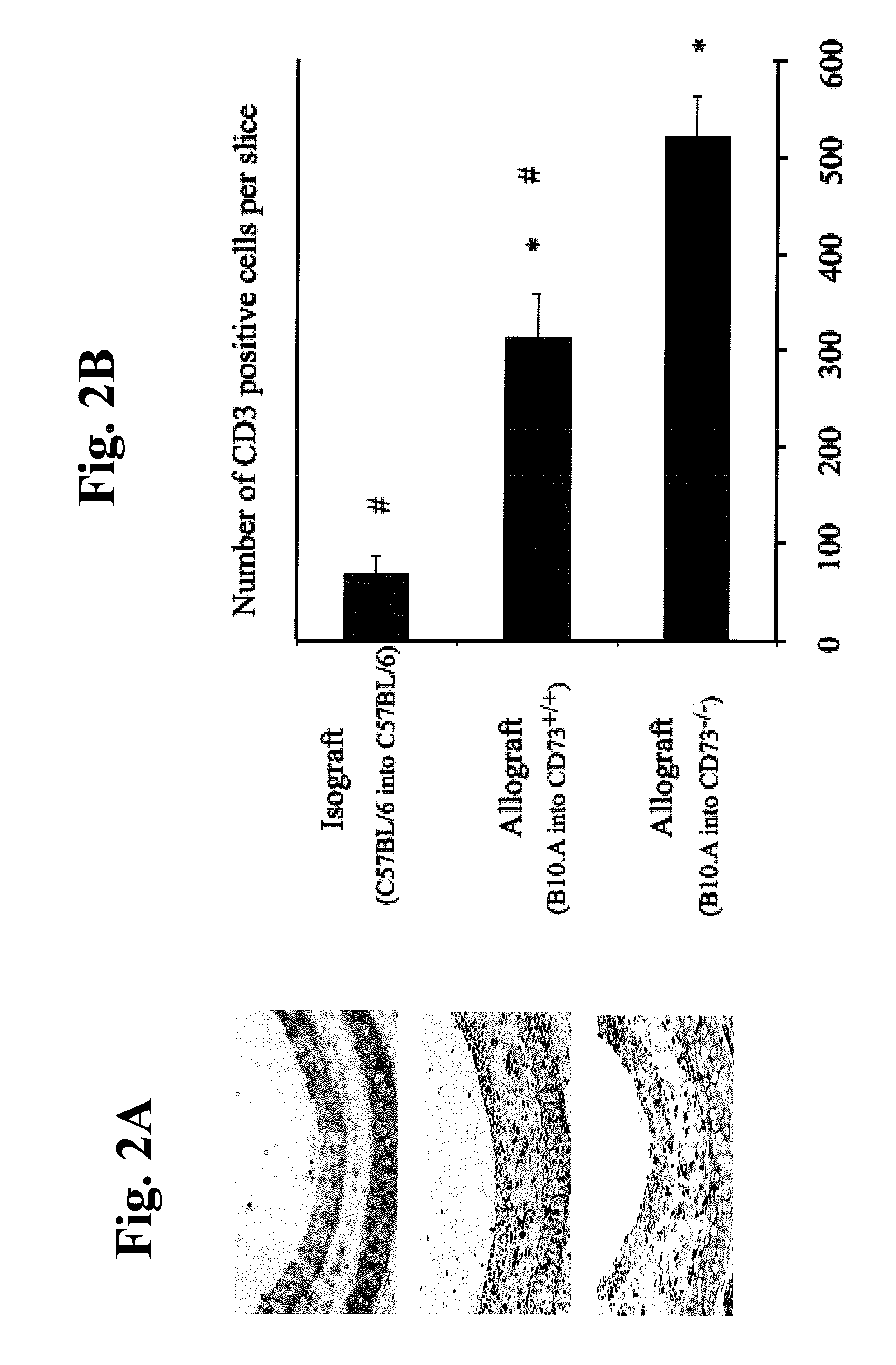 Nucleotide phosphate dissipation as a treatment for vascular disorders