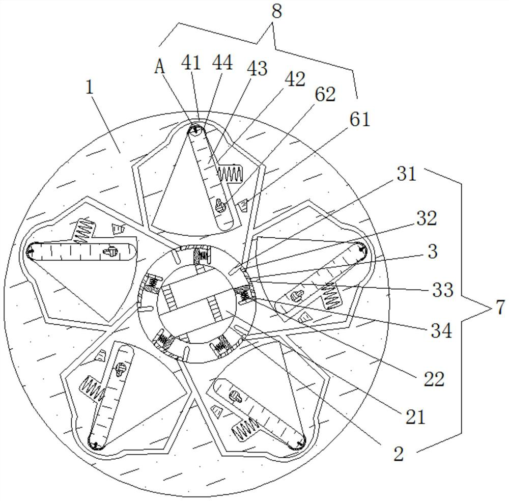 Peony seed husking device