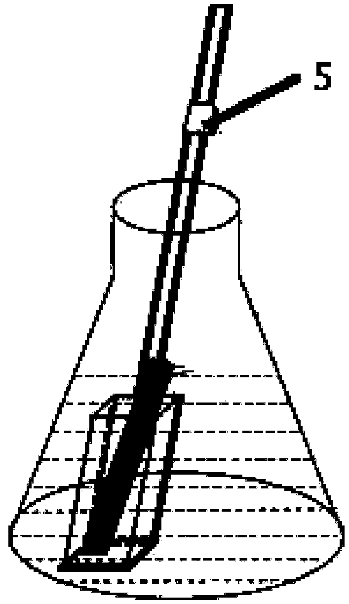 Method for placing sample in safe intergranular corrosion test