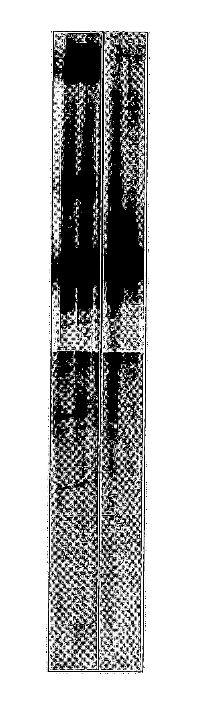 Rapid methods for detecting methylation of a nucleic acid molecule