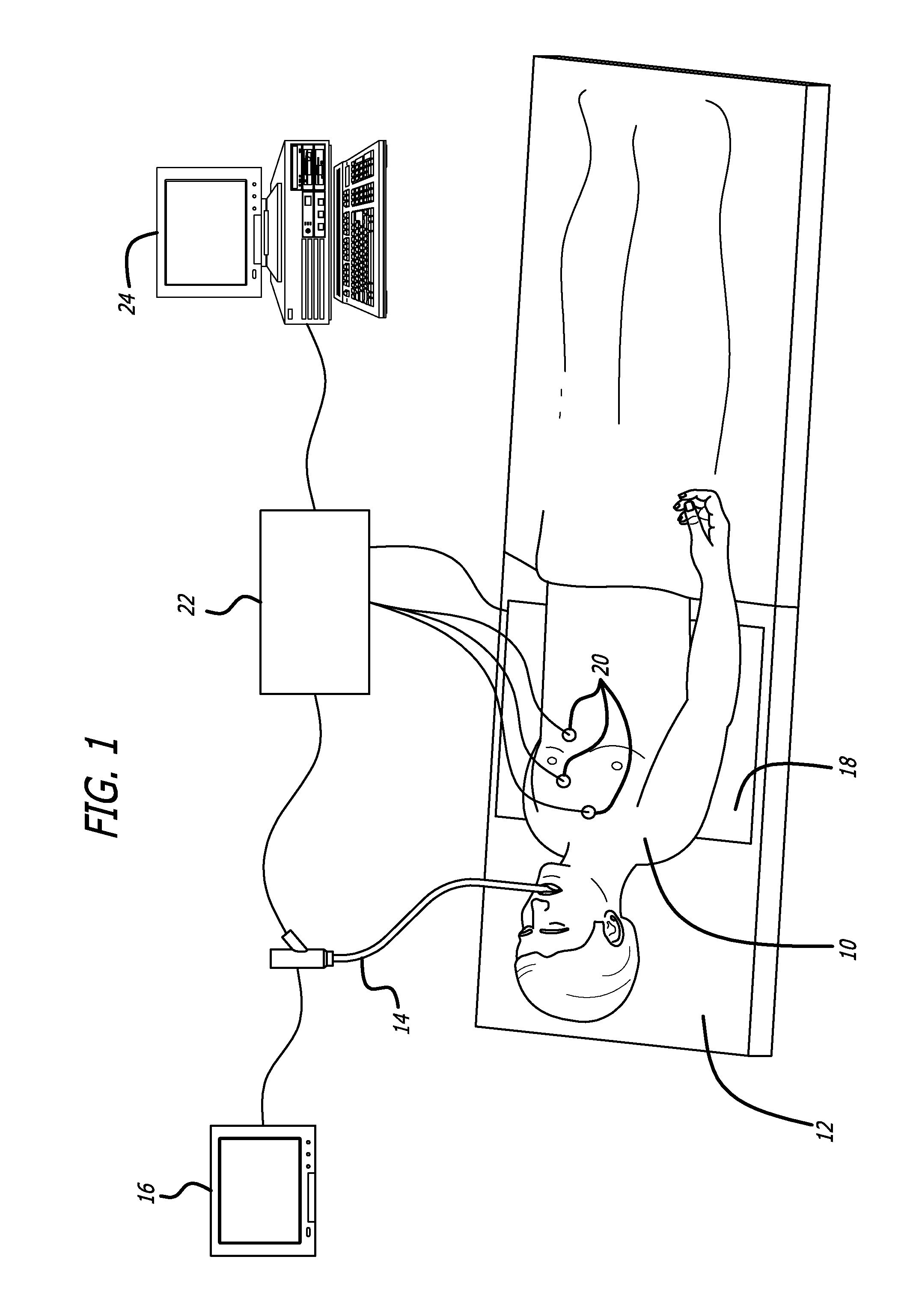 Endoscope Structures And Techniques For Navigating To A Target In Branched Structure