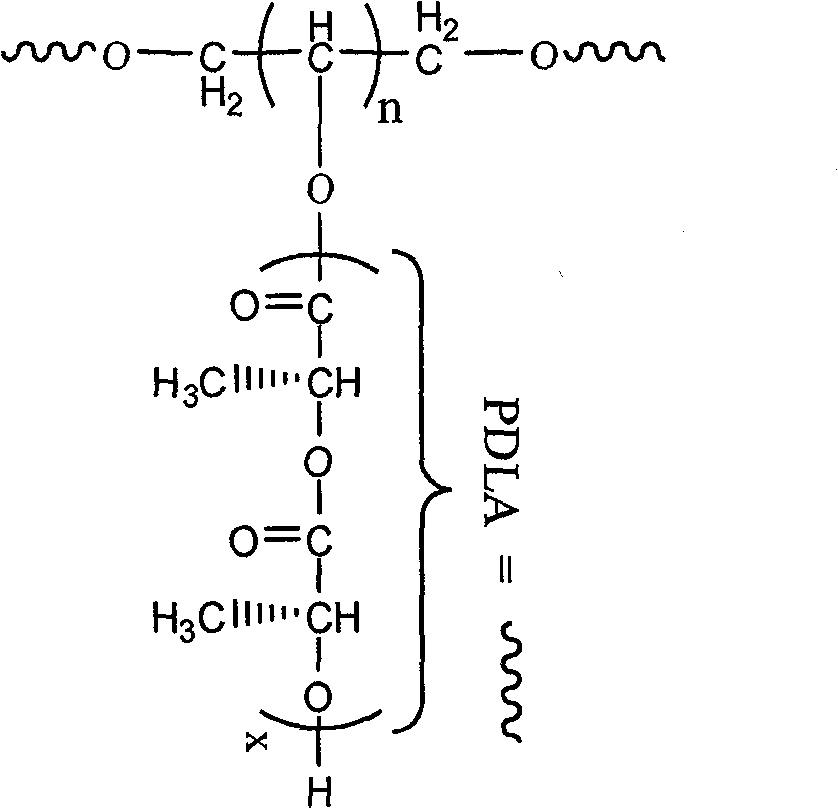 Modified polyactic acid and preparation method thereof