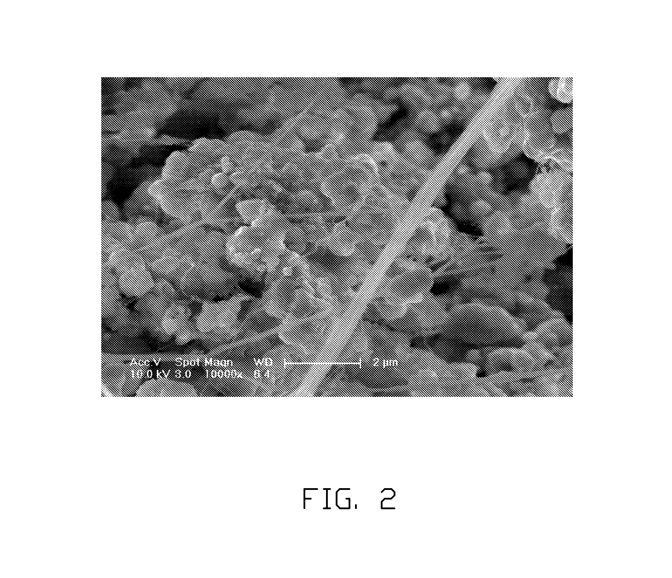 Cathode of lithium ion battery and method for fabricating the same