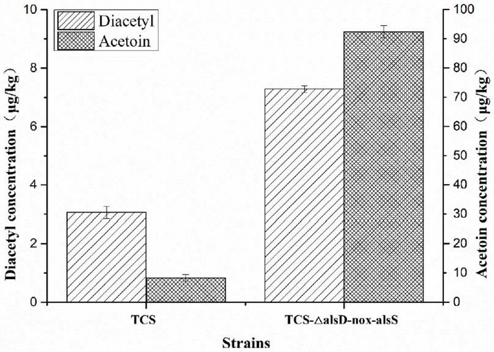 Genetically engineered bacterium for increasing butanedione content and acetoin content in yoghourt and application thereof