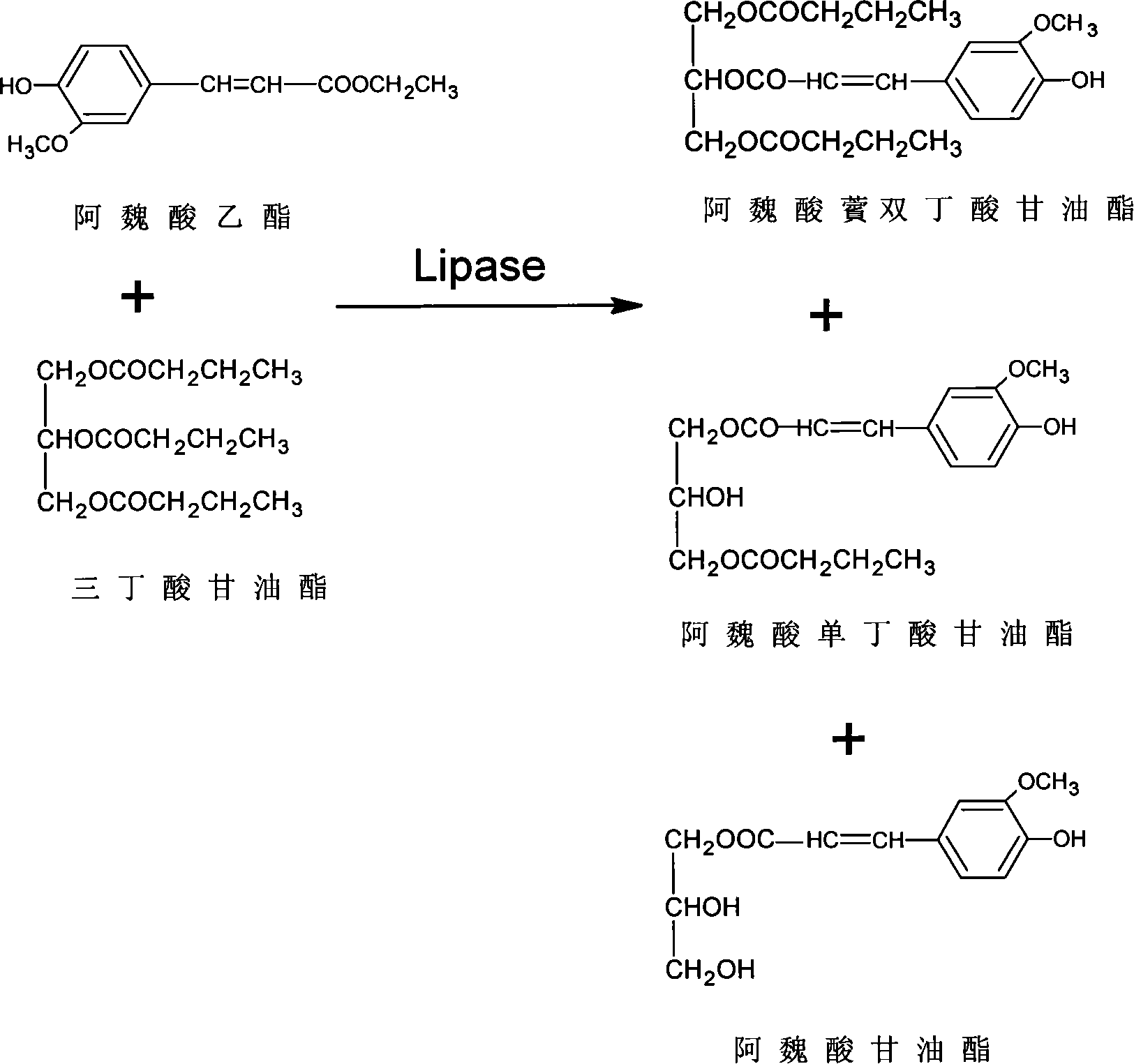 Method for analyzing ferulaic acid butyric glyceride by high performance liquid chromatography