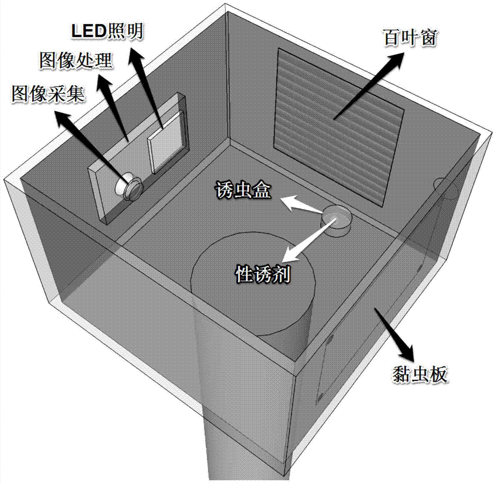 Broad spectrum insect situation automatic forecasting method based on computer vision technology