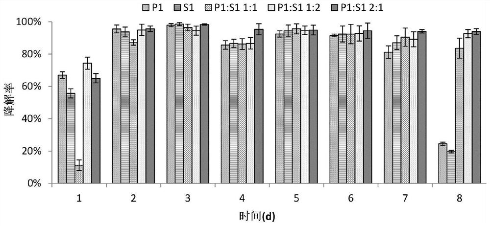 Preparation method of composite bacterial agent for water purification