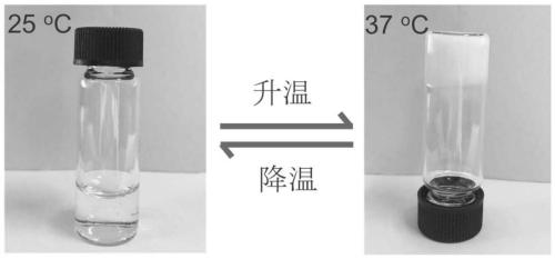 Non-trypsinization harvested cell culture method based on temperature sensitive hydrogel material