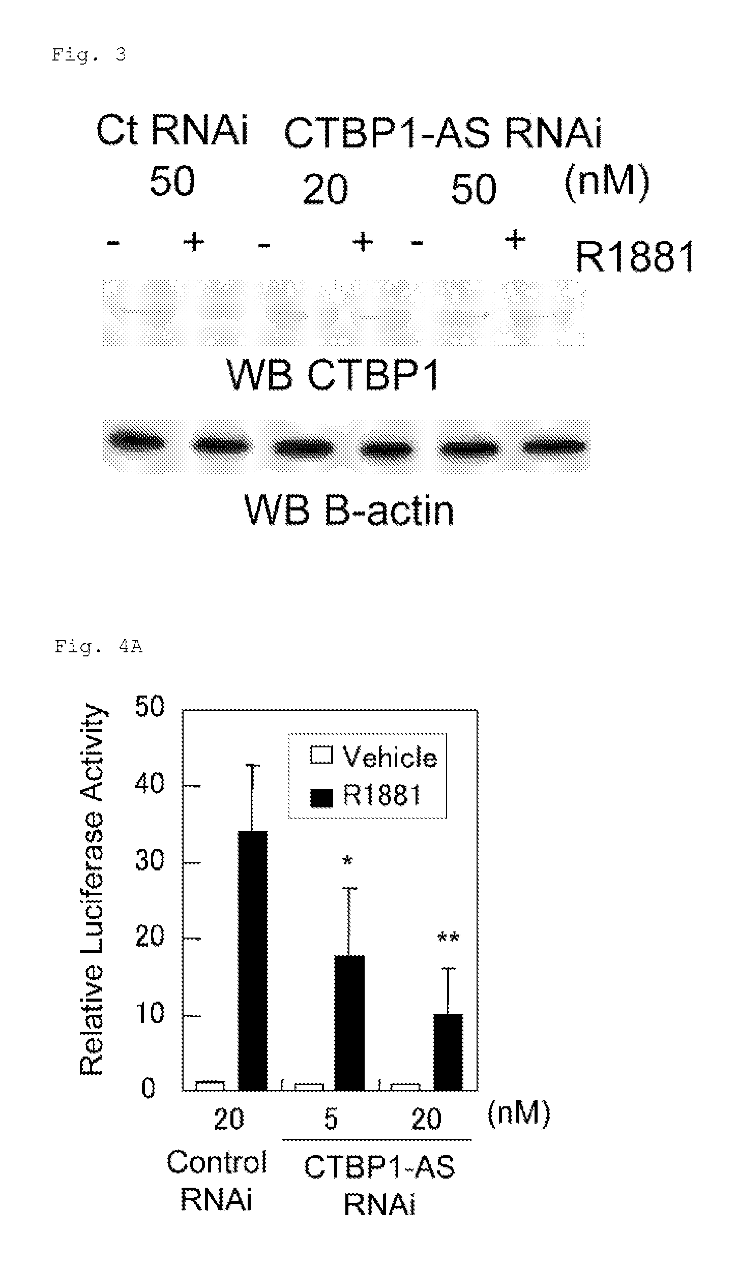 Cell growth inhibitor and screening method thereof