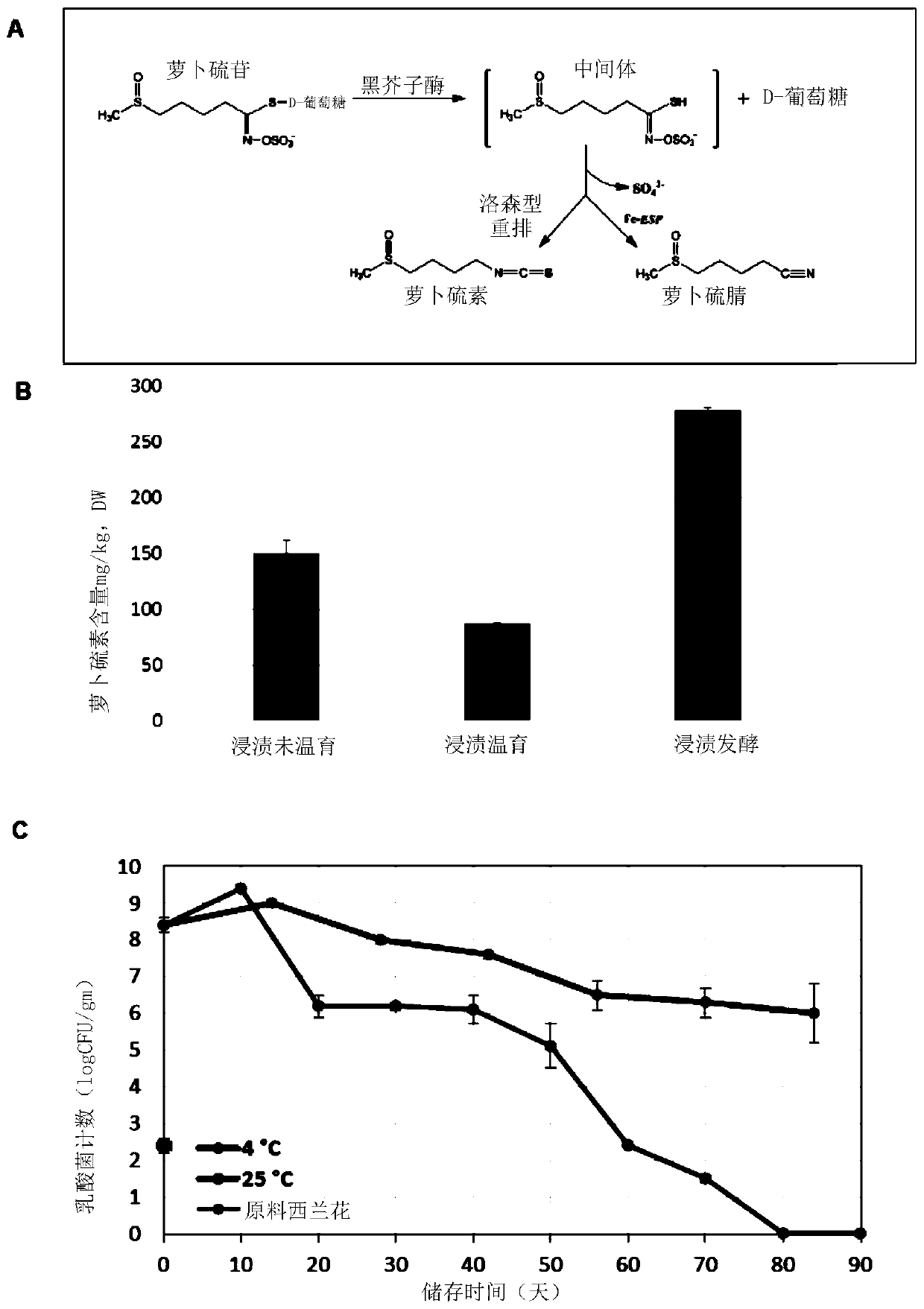 Isothiocyanate containing brassicaceae products and method of preparation thereof