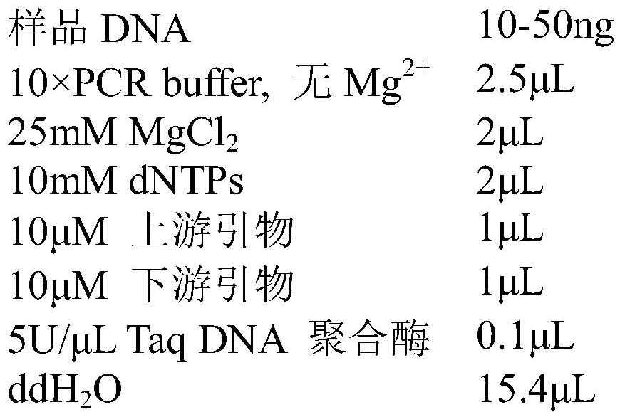 A primer pair, dna bar code for identifying relative species of E. prolifera and its application and detection method