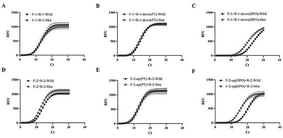 SARS-CoV-2 delta variant detection method based on primer design and copper nanoclusters