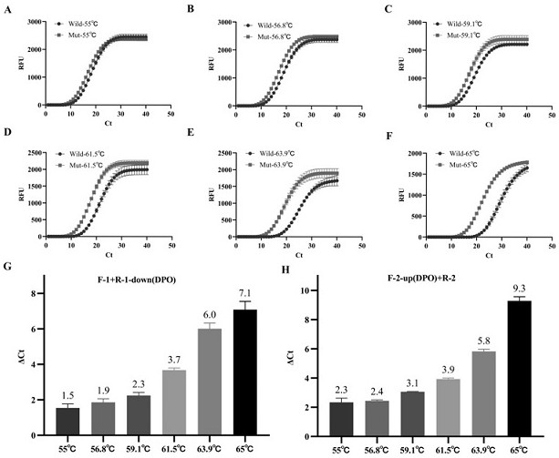 SARS-CoV-2 delta variant detection method based on primer design and copper nanoclusters