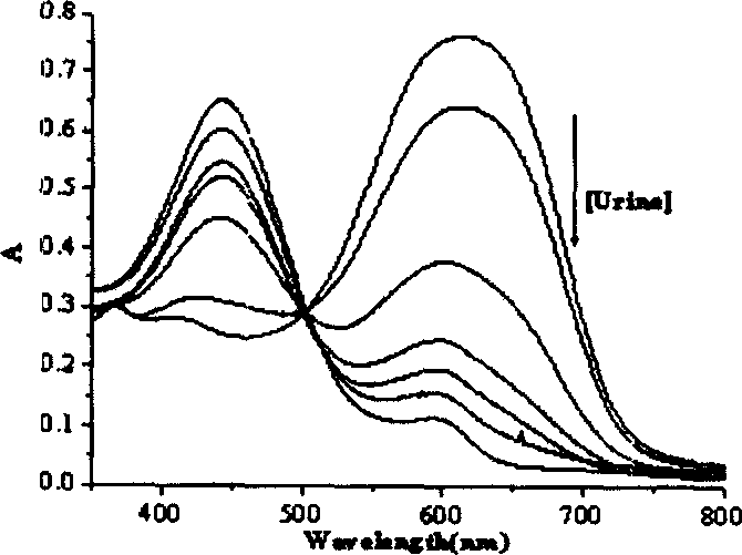 Method for detecting phosphate radical in urine