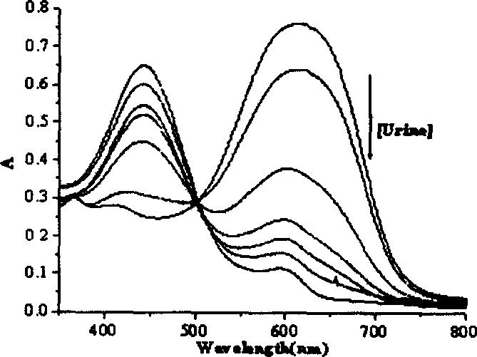 Method for detecting phosphate radical in urine