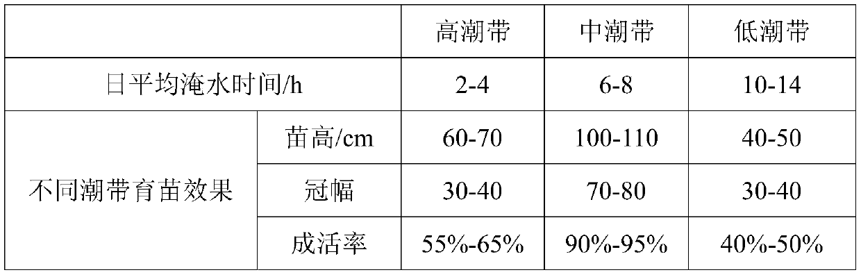 Rapid seedling raising method for mangrove plant excoecaria agallocha