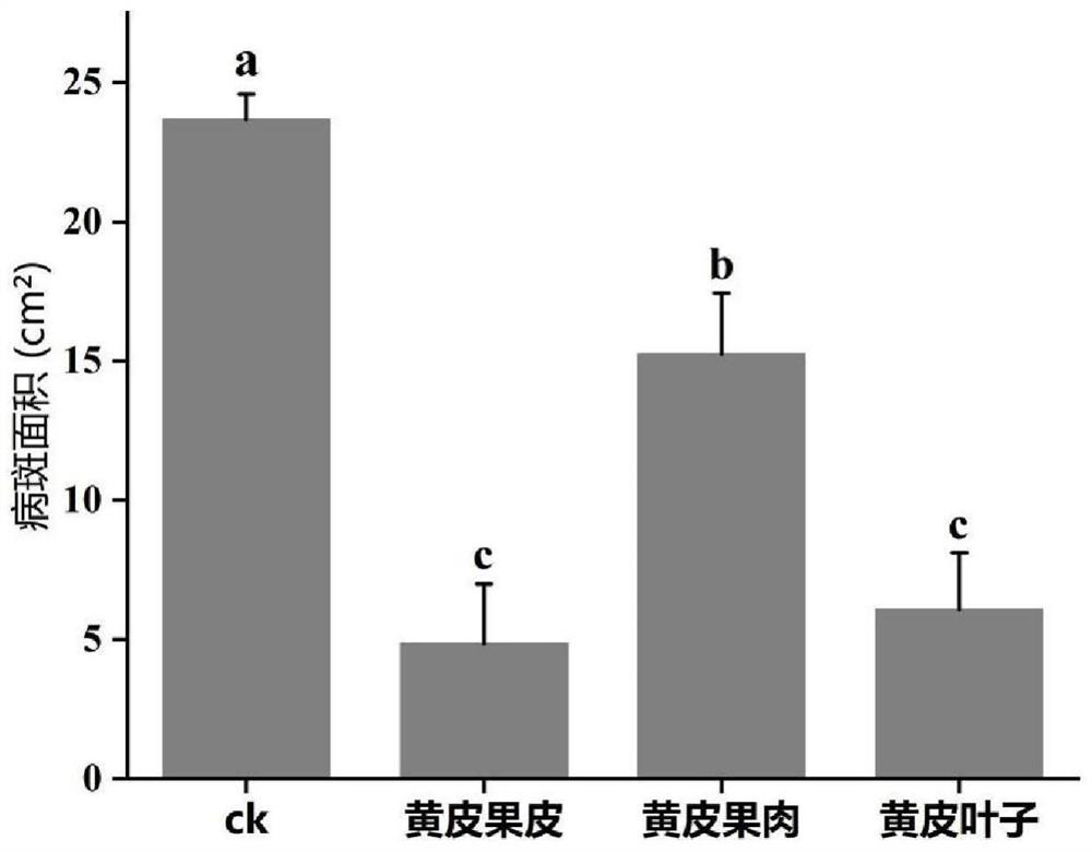 Method for inhibiting growth of penicillium and reducing rotting rate of picked citrus fruits