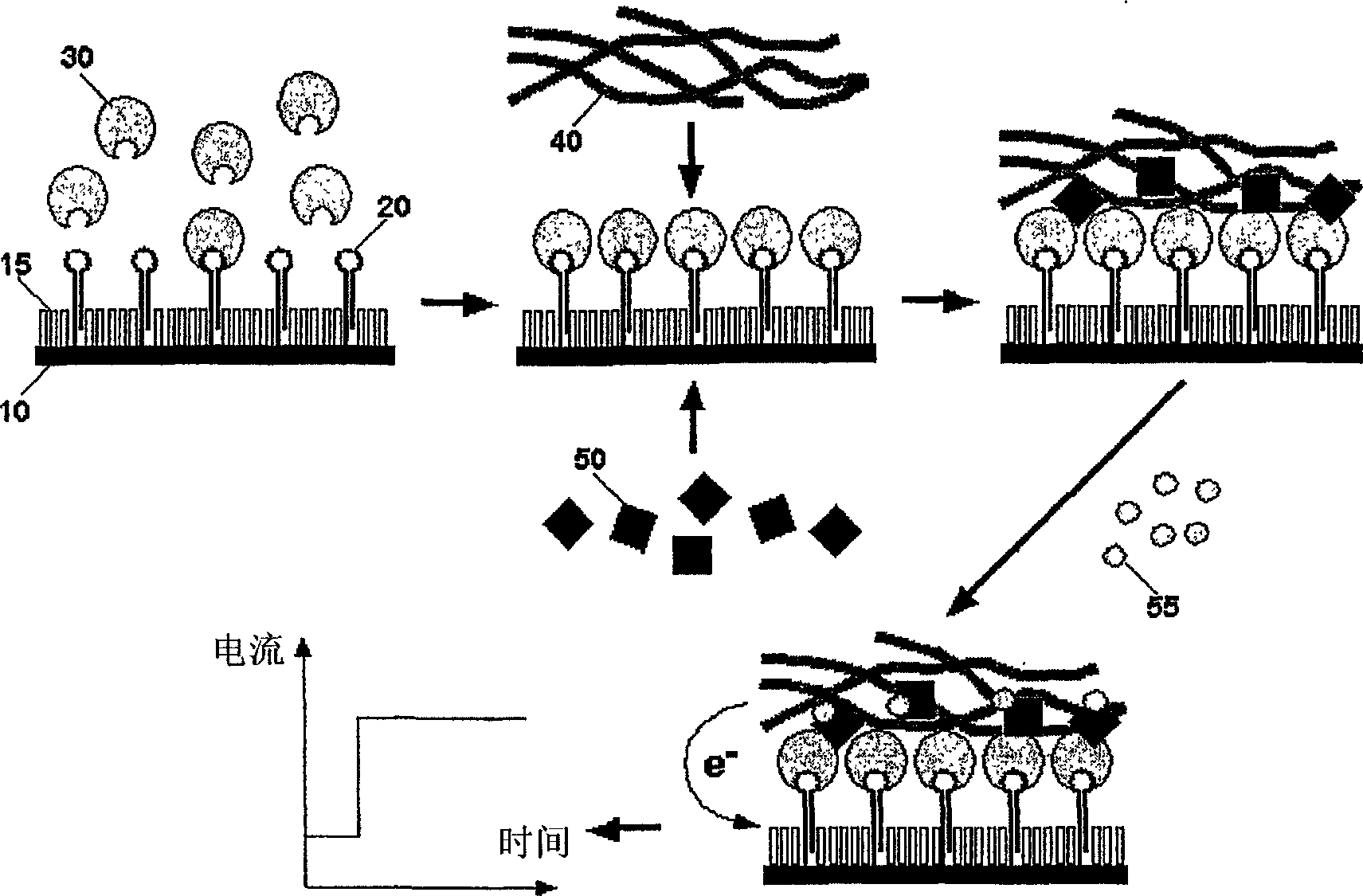 Method for detecting analytes by means of an analyte/polymeric activator bilayer arrangement