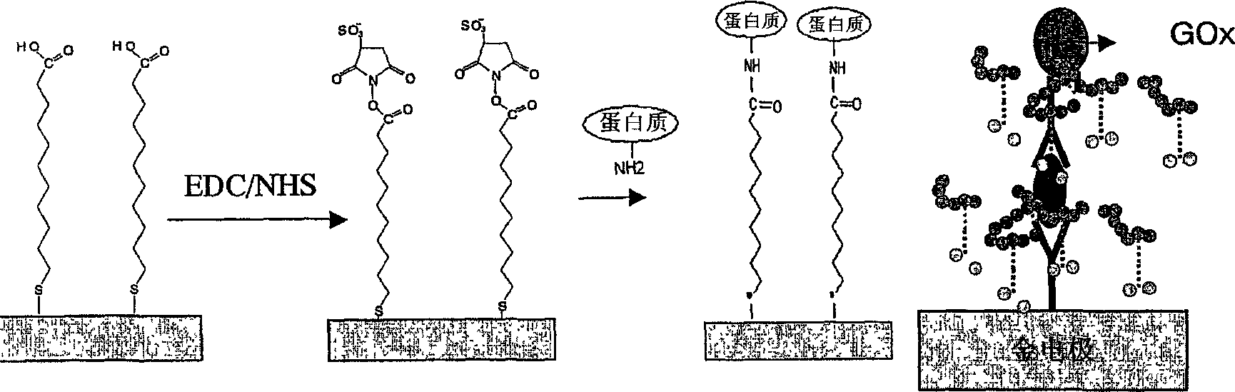 Method for detecting analytes by means of an analyte/polymeric activator bilayer arrangement