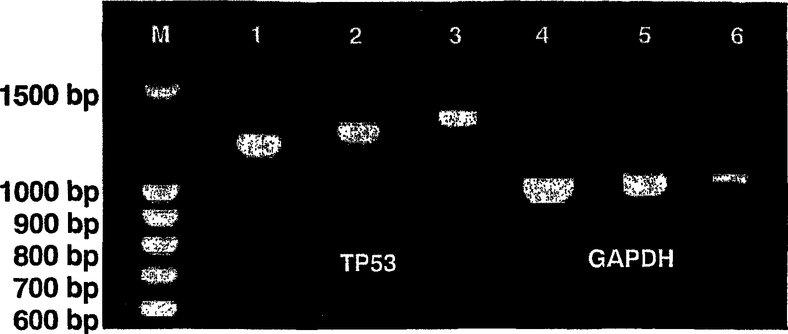 Method for detecting analytes by means of an analyte/polymeric activator bilayer arrangement