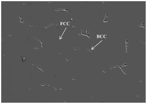 Manufacturing method of aluminum-cobalt-chromium-iron-nickel high-entropy alloy